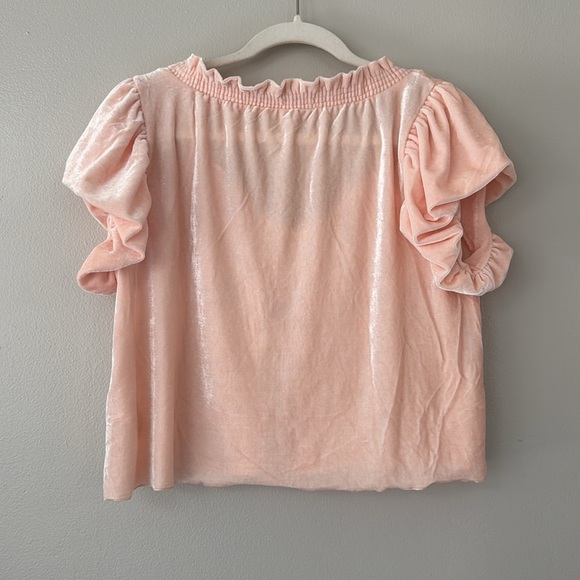 Free People Terese Velvet Top in Pink Tint - Picture 4 of 5